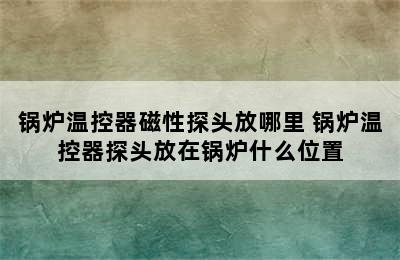 锅炉温控器磁性探头放哪里 锅炉温控器探头放在锅炉什么位置